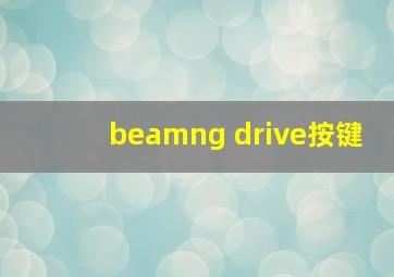 beamng drive按键